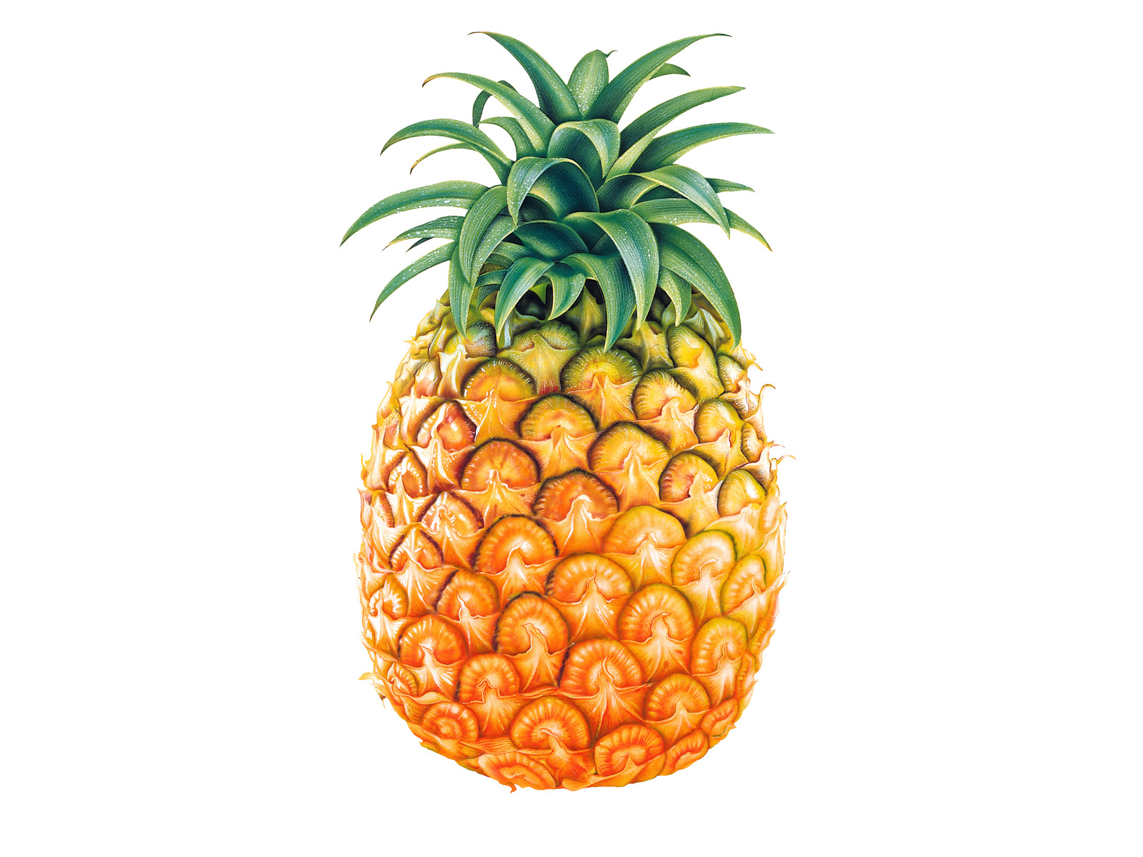 Tasty Pineapple Wallpaper Stock Photos