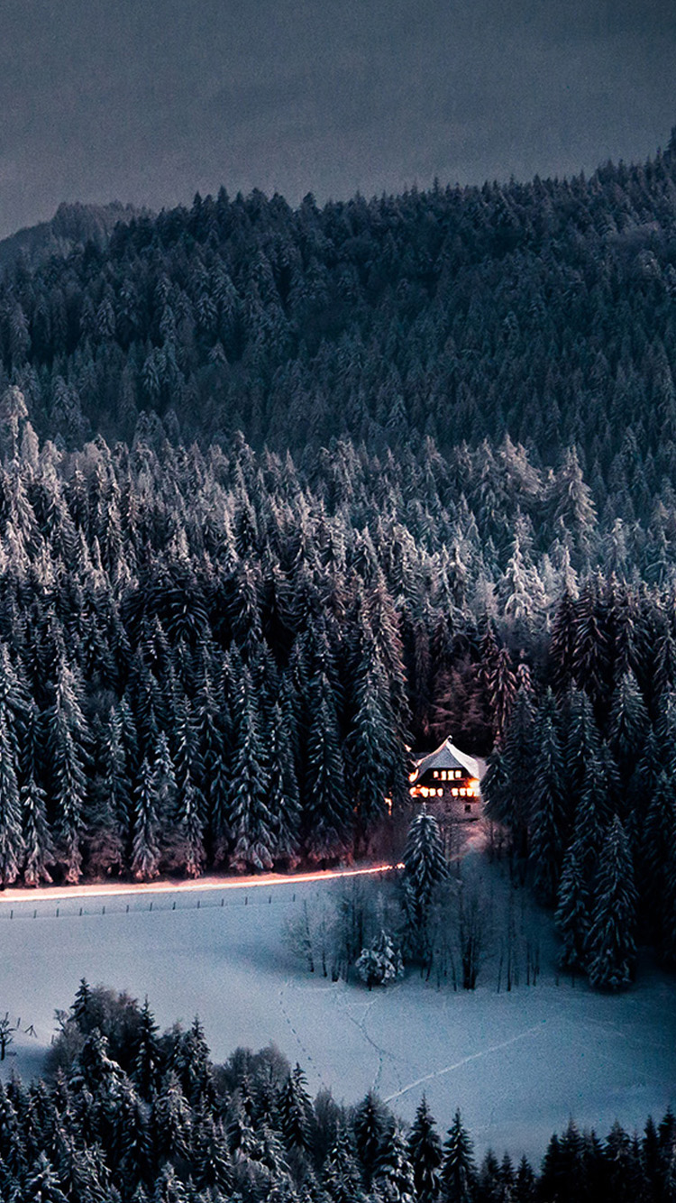 Winter Snow Forest Chalet Retreat iPhone Wallpaper HD