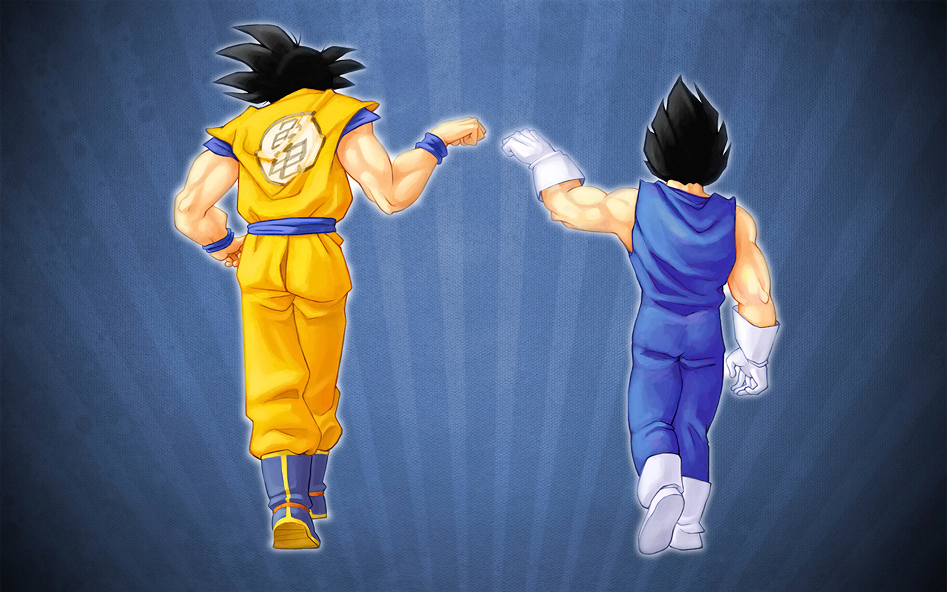 Goku And Vegeta Dragon Ball Z Widescreen Wallpaper