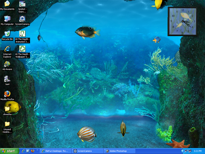 Bing Home Wallpaper Aquarium