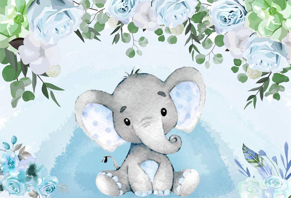 Amazon Baby Shower Background Boy Party
