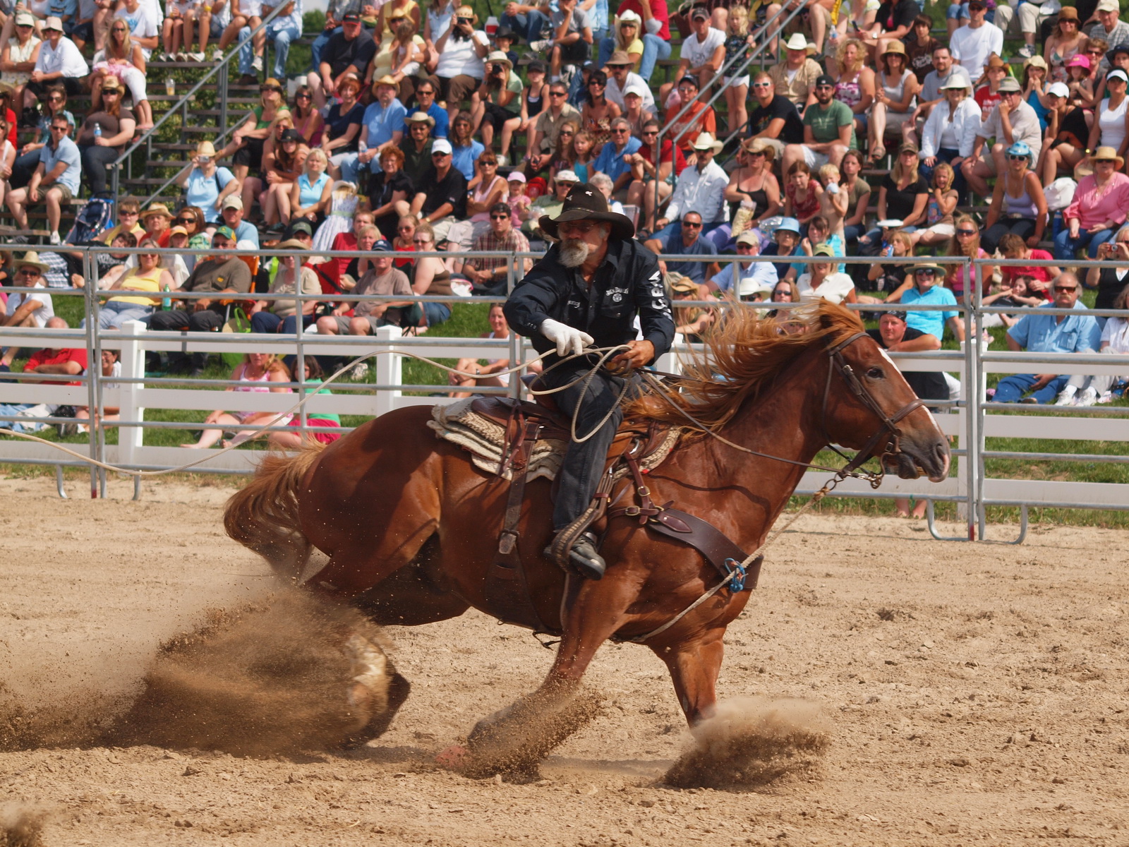 [75+] Barrel Racing Wallpaper on WallpaperSafari