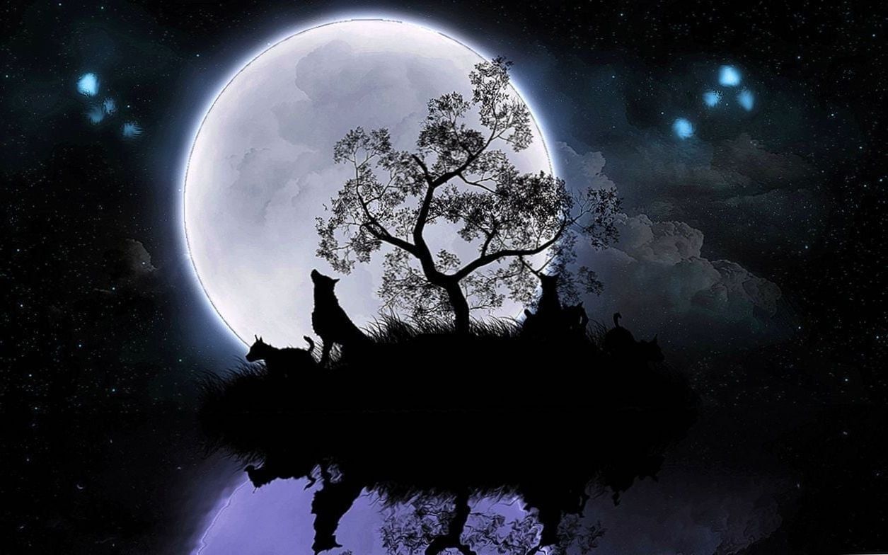 Wolf Moon HD Wallpapers Wolf moon Iphone wallpaper wolf Wolf