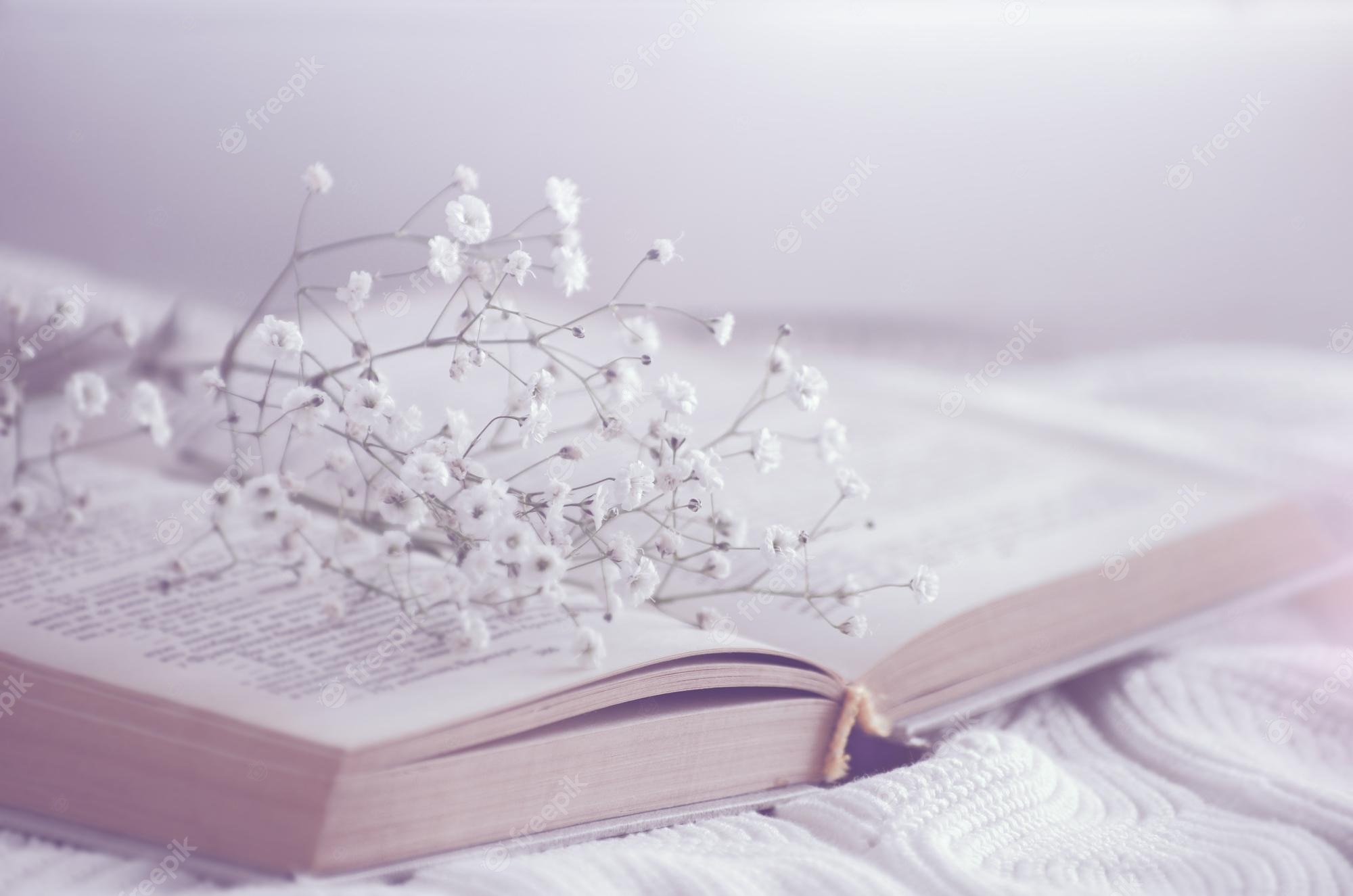 Books Aesthetic Wallpaper