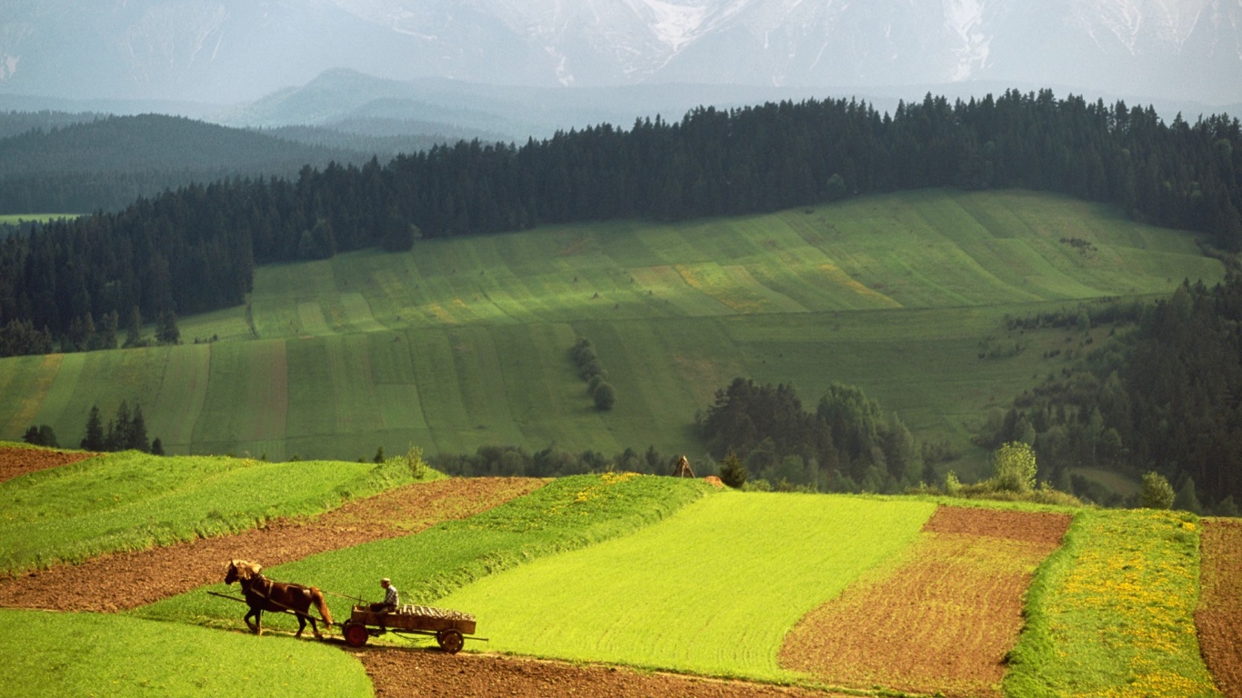 Late Summer Landscapes Desktop Car Tuning