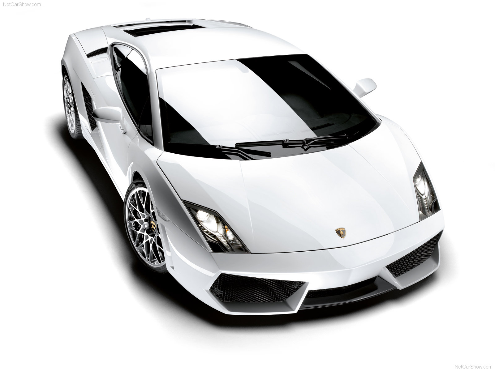 Lamborghini Gallardo Lp In White Wallpaper HD