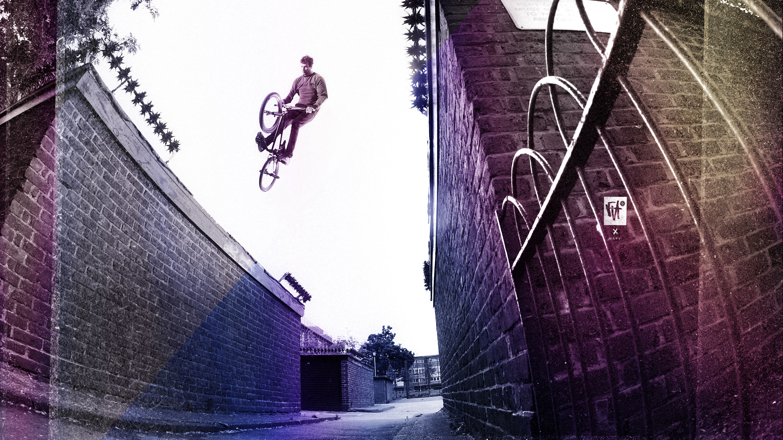 Marv Wallpaper Fitbikeco