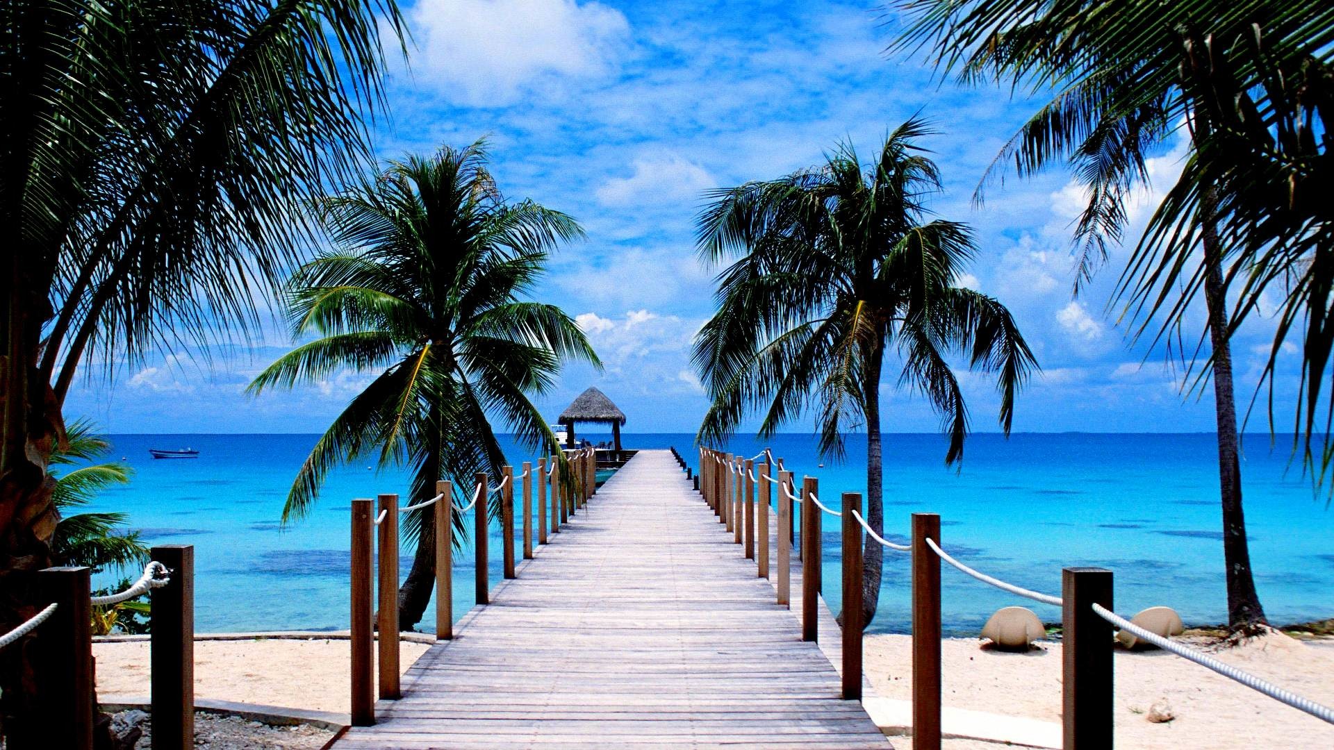 Scenic view of a wooden pier leading to an overwater bungalow, with a breathtaking backdrop of palm trees, blue sky, and turquoise waters