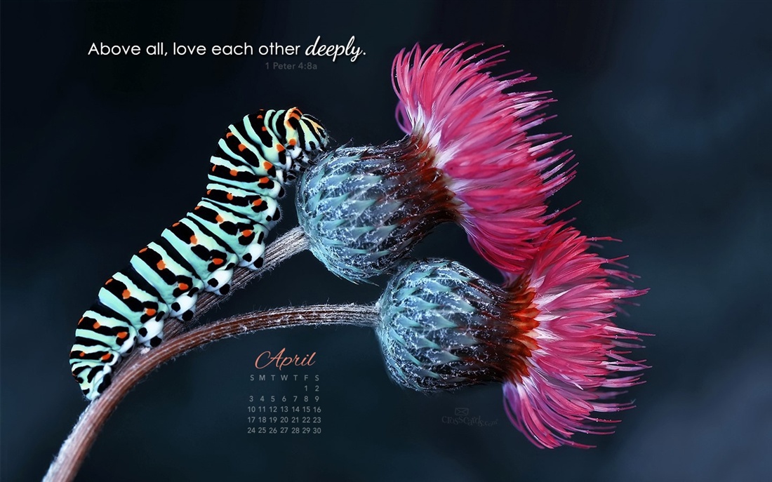 April Love Deeply Desktop Calendar Wallpaper