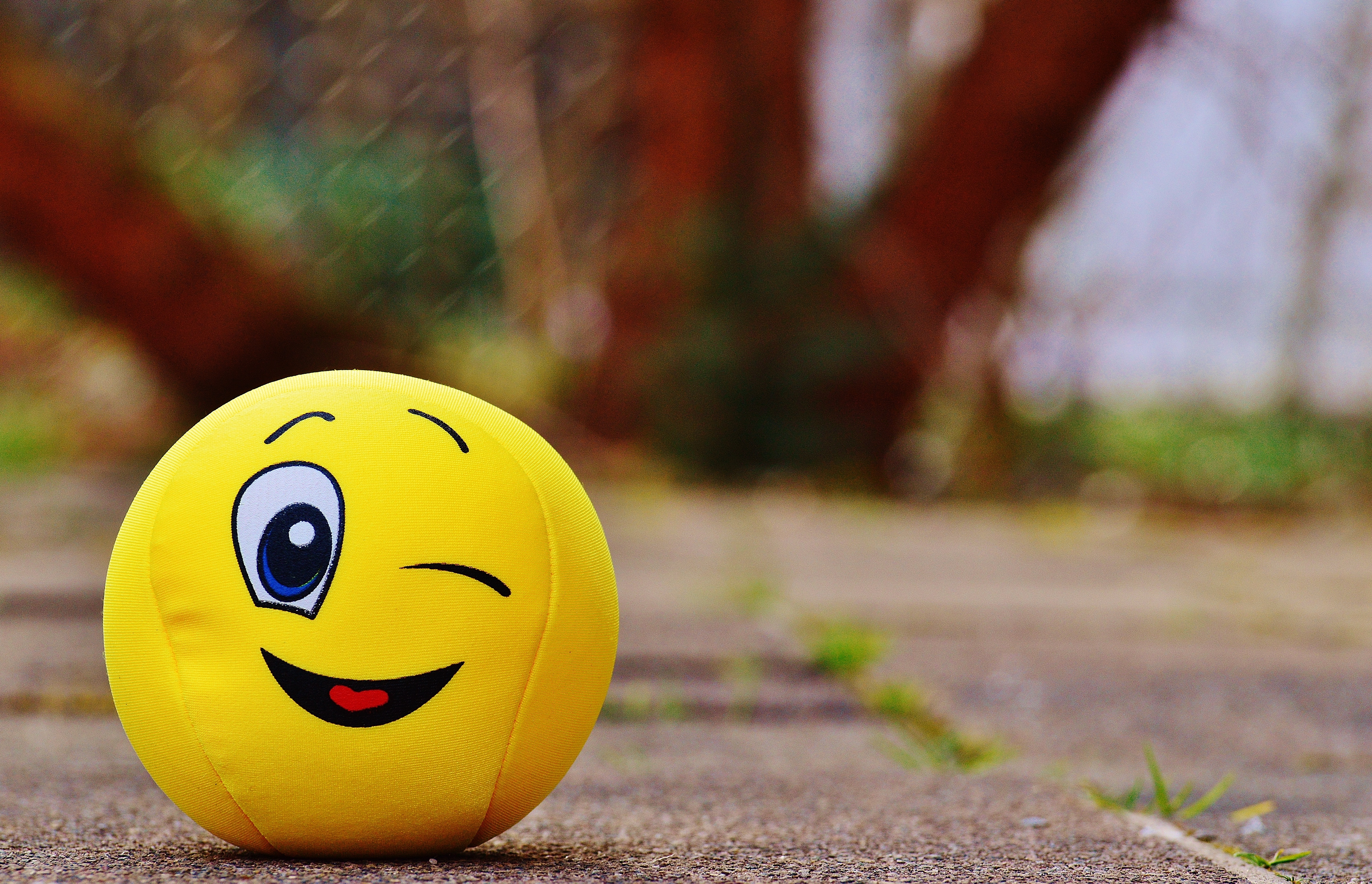 Winking Smiley Ball Plush Toy On Concrete Pavement Image