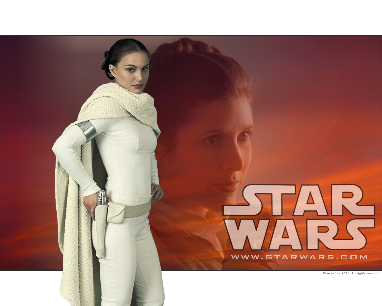 Padme Leia The Skywalker Family Wallpaper