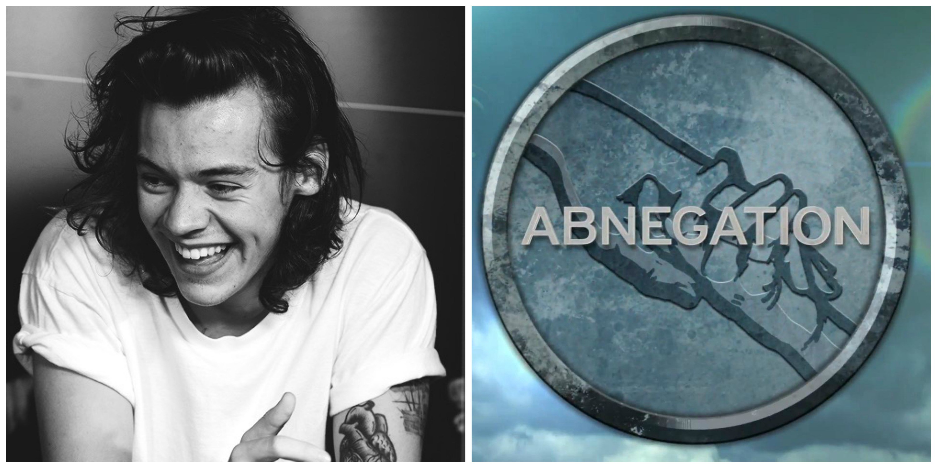 Harry Styles Abnegation