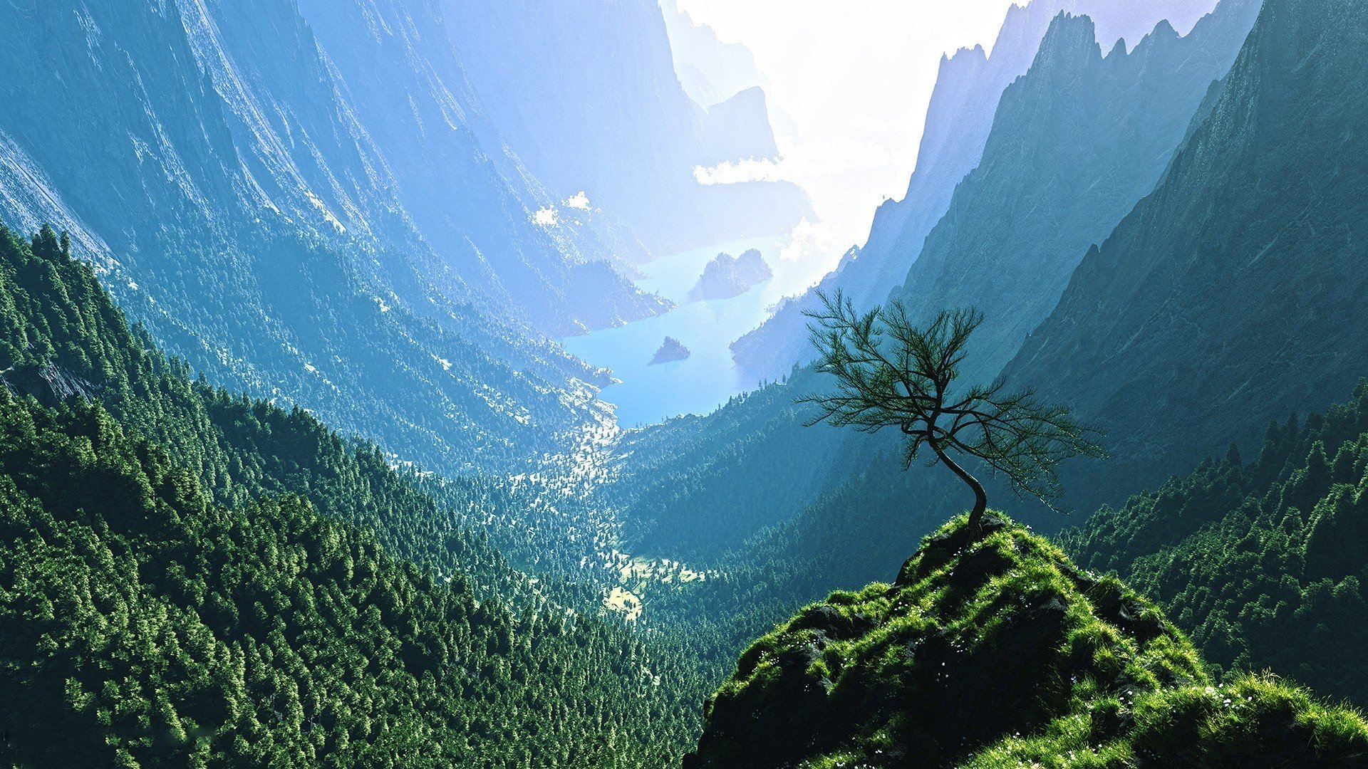 Live Wallpaper In 4k Full Hd For