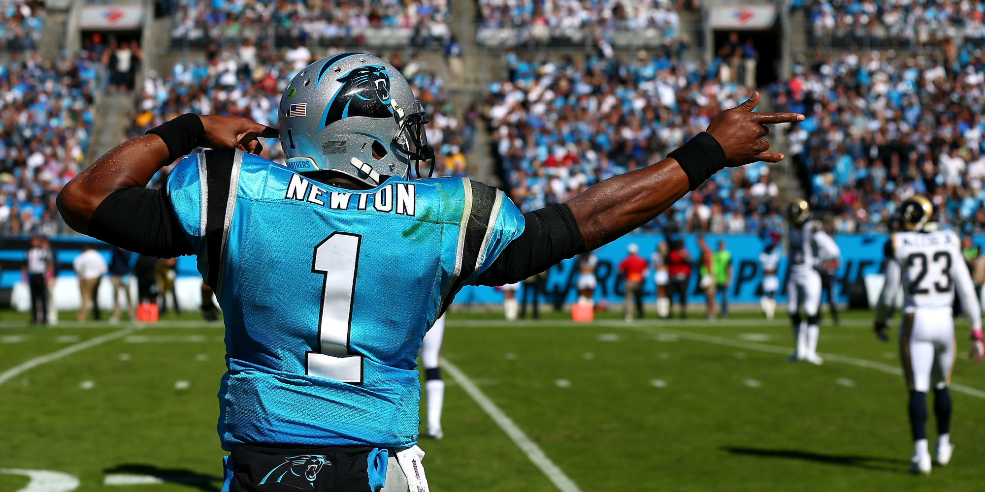Panthers Fan Takes His Cam Newton Tribute Too Far Dresses Up As Car