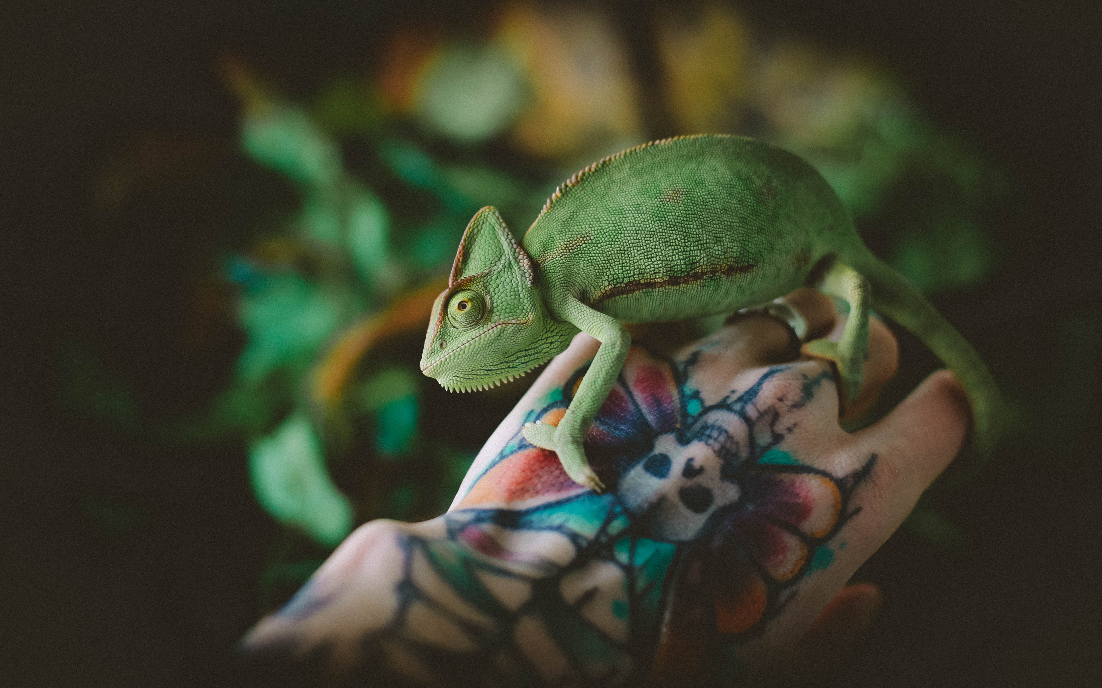 Wallpaper Chameleon Lizard Tattoo Hand