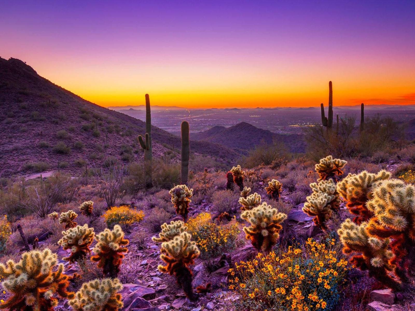 Arizona Sunset Desert area Orange Sky Clouds Desktop HD Wallpapers