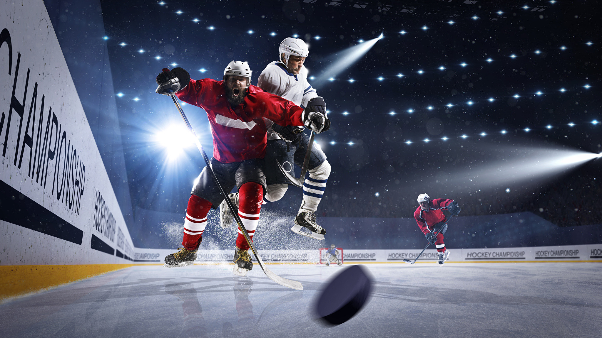 Two hockey players clash during a fast-paced game, showcasing the intensity and skill of the sport