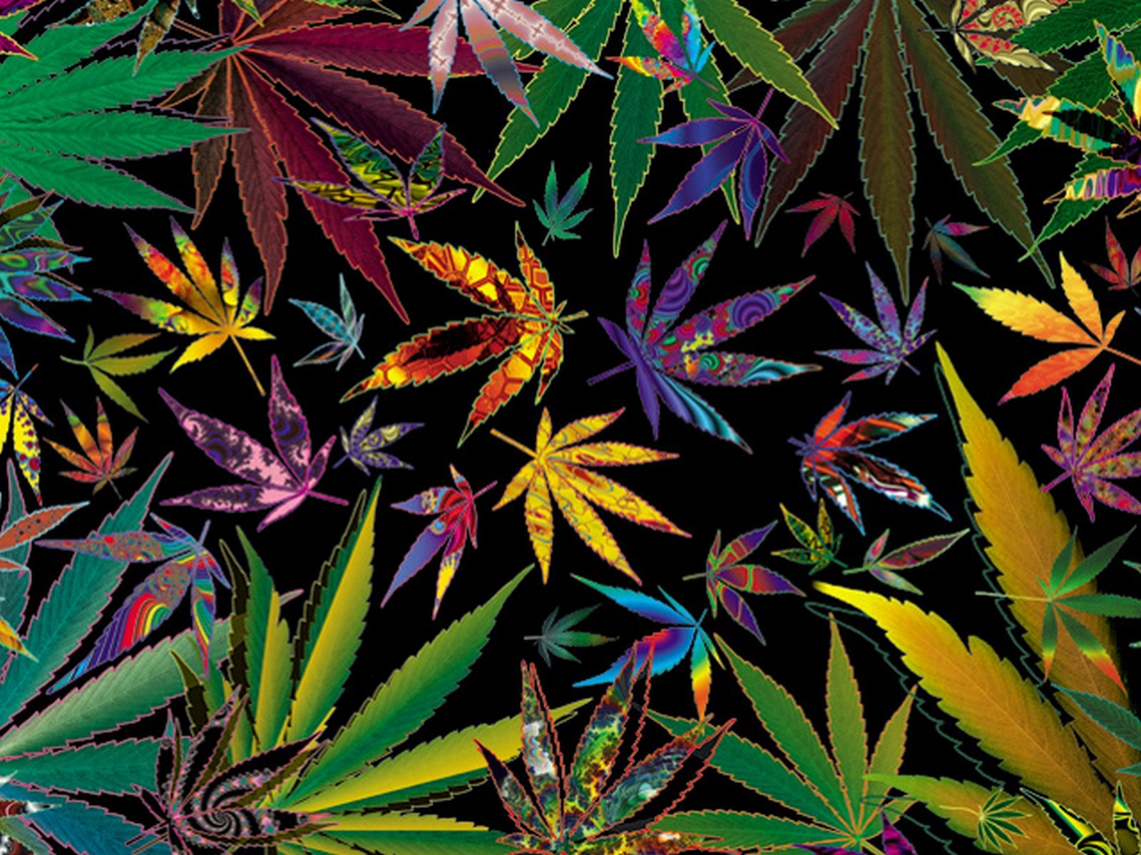 Trippy Stoner Types Multi Pot Leaves For Your Weed Wallpaper