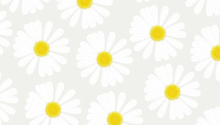  tech stuff daisy desktop desktop wallpapers daisy desktop wallpaper