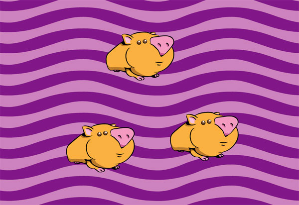 Guinea Pigs Play In This Animated Pig Screensaver