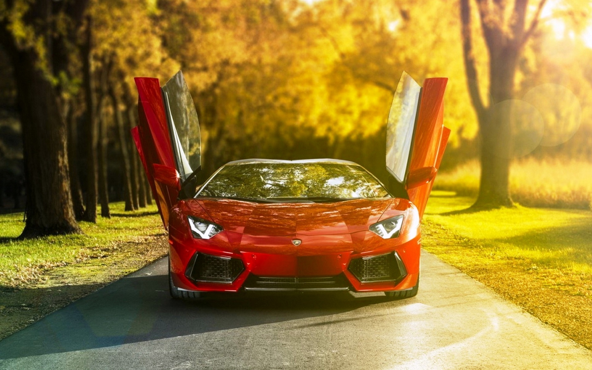 Lamborghini Car Best Scene And Wallpaper New