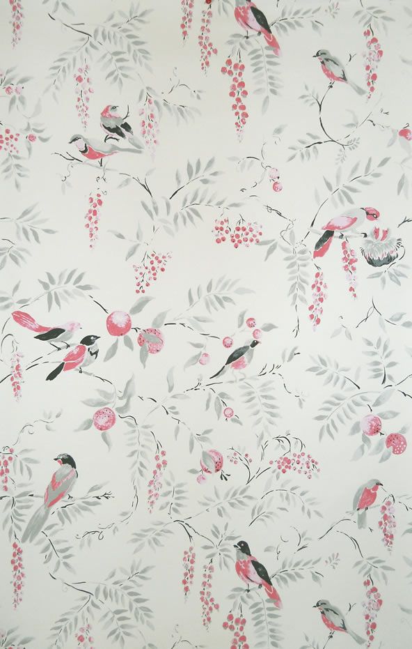 Aesthetic Oiseau Sanctuary Wallpaper Hall