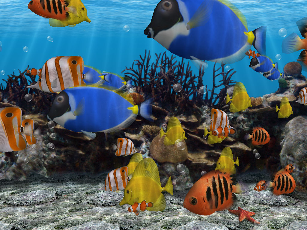 free download fish aquarium screensaver