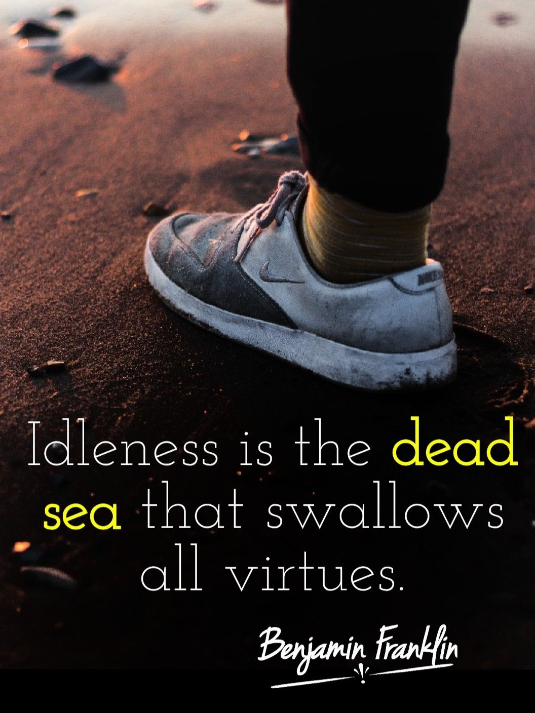 Laziness Quotes Idleness Is The Dead Sea That Swallows All