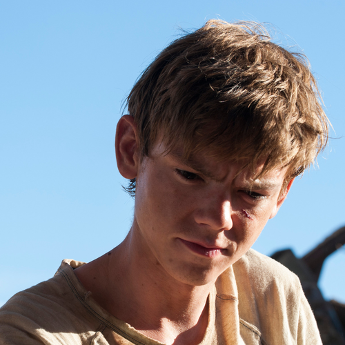 Thomas Sangster Image Newt HD Wallpaper And Background