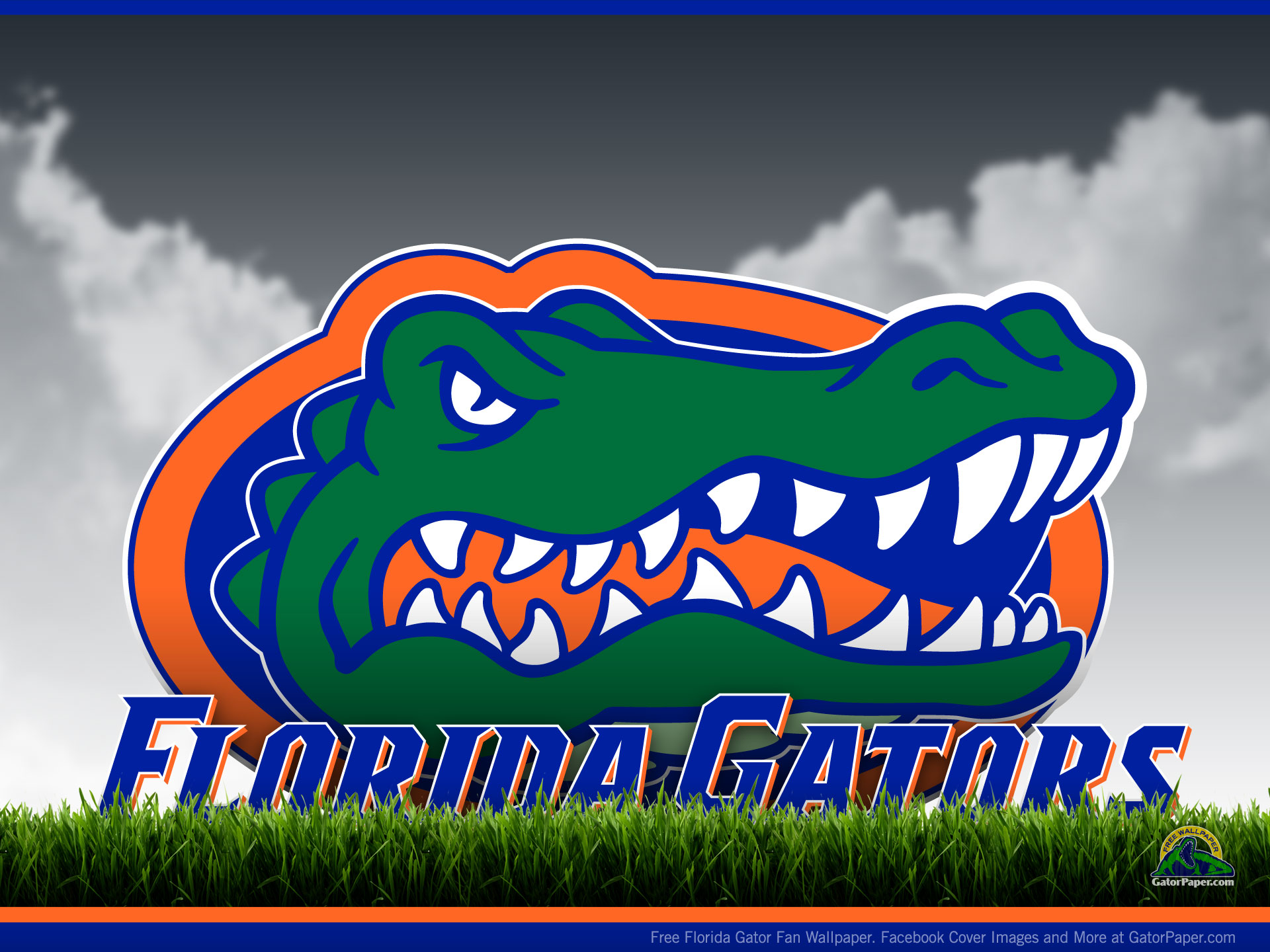 Florida Gators Field View GatorPaper Free Sports Desktop