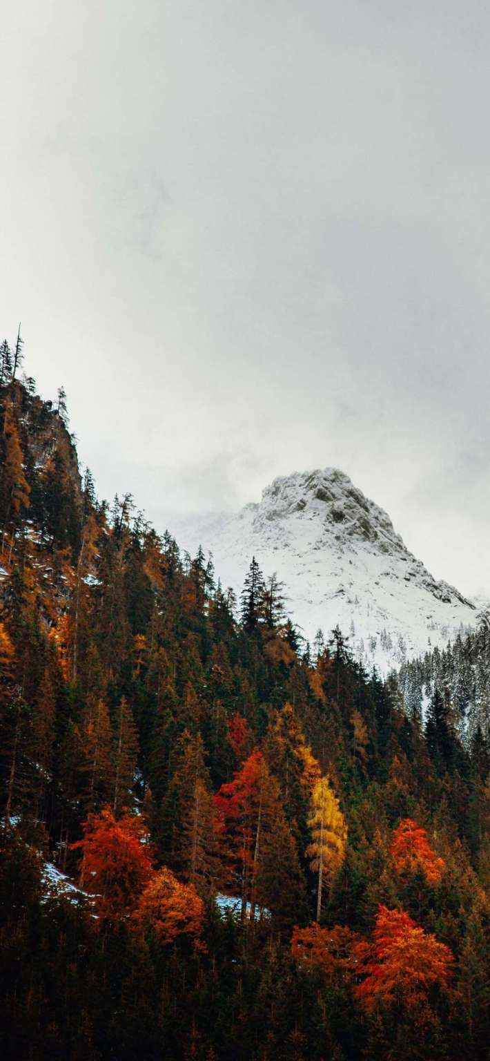 Beautiful Fall Wallpaper For iPhone May The Ray