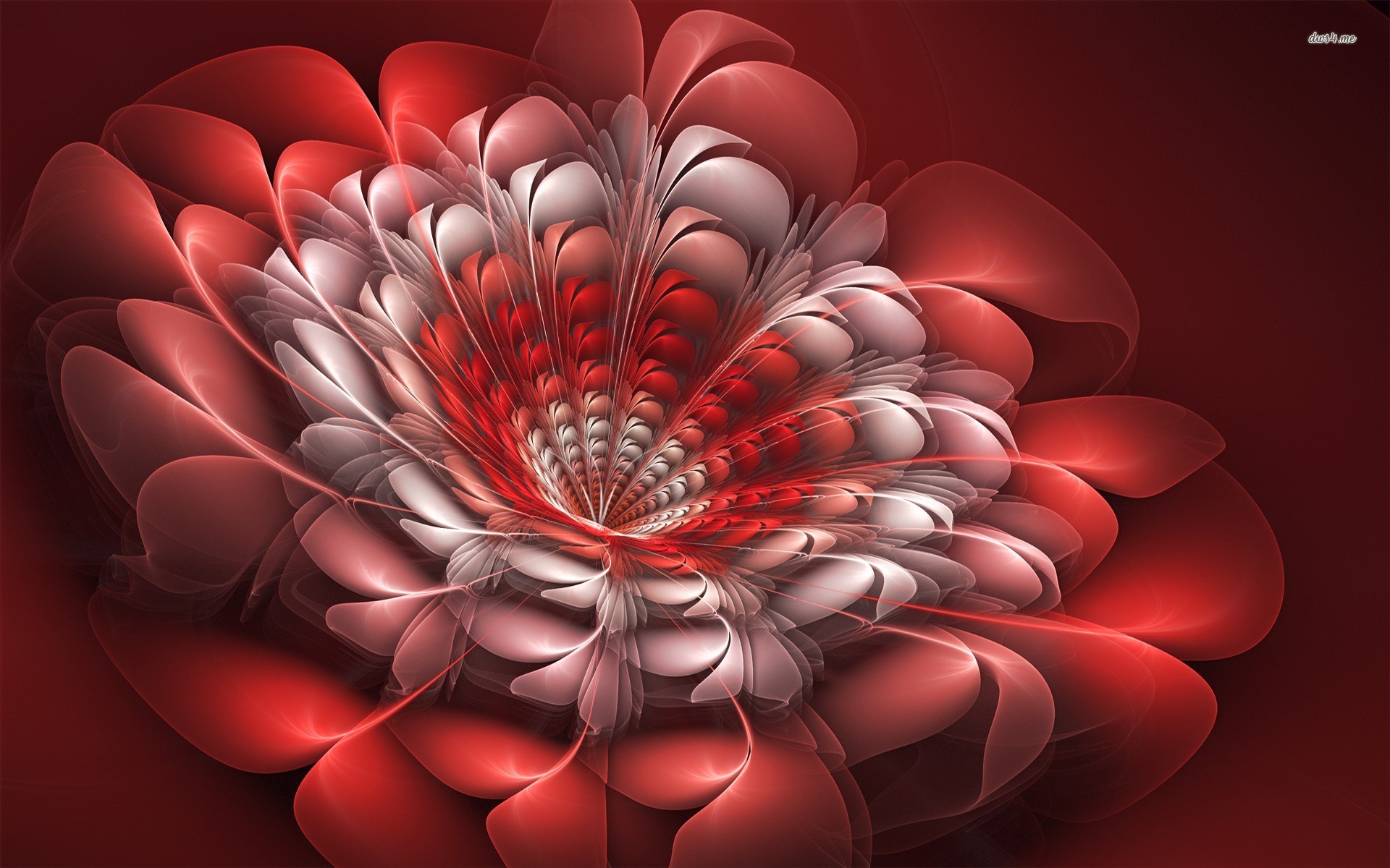 Wallpaper 3d Flower   Wallpapers And Pictures 1920x1200