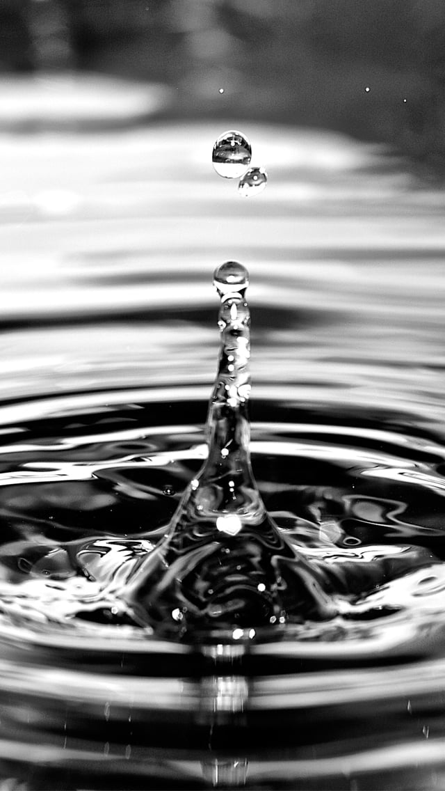 3d Water Drop   Black And White Water   640x1136 Wallpaper   teahubio