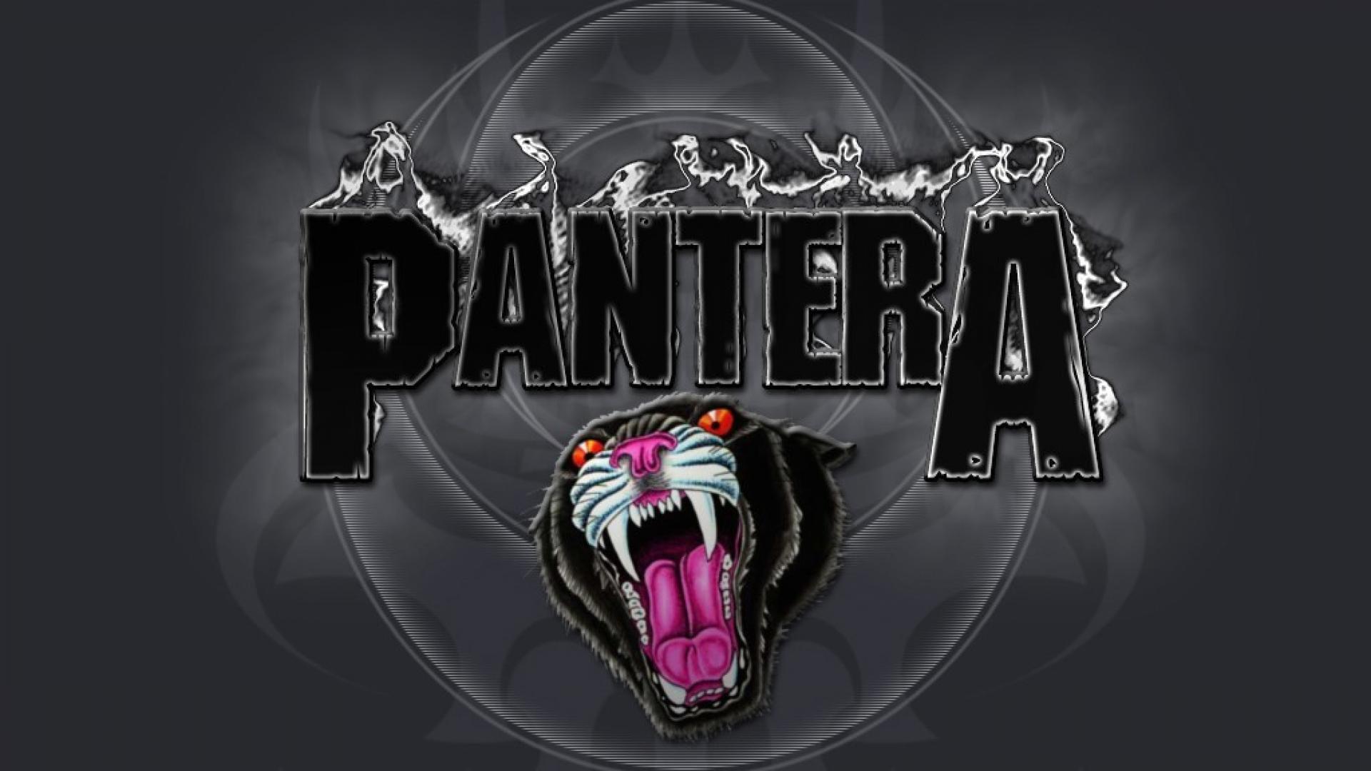 Heavy metal bands pantera band wallpaper 102327