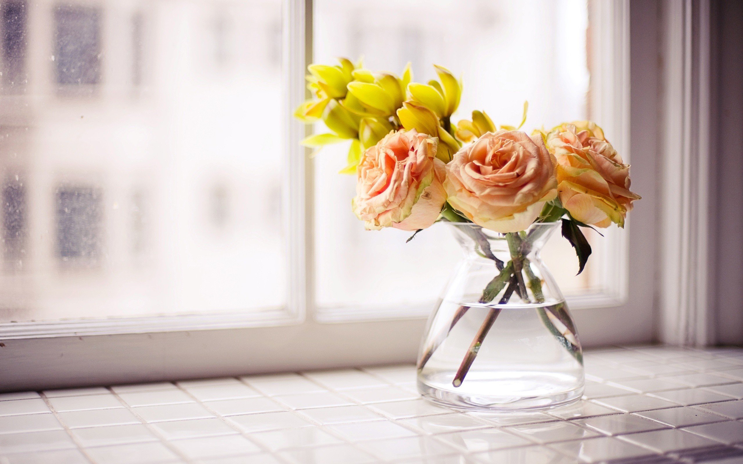Flowers Roses Vase Yellow Windowsill Wallpaper