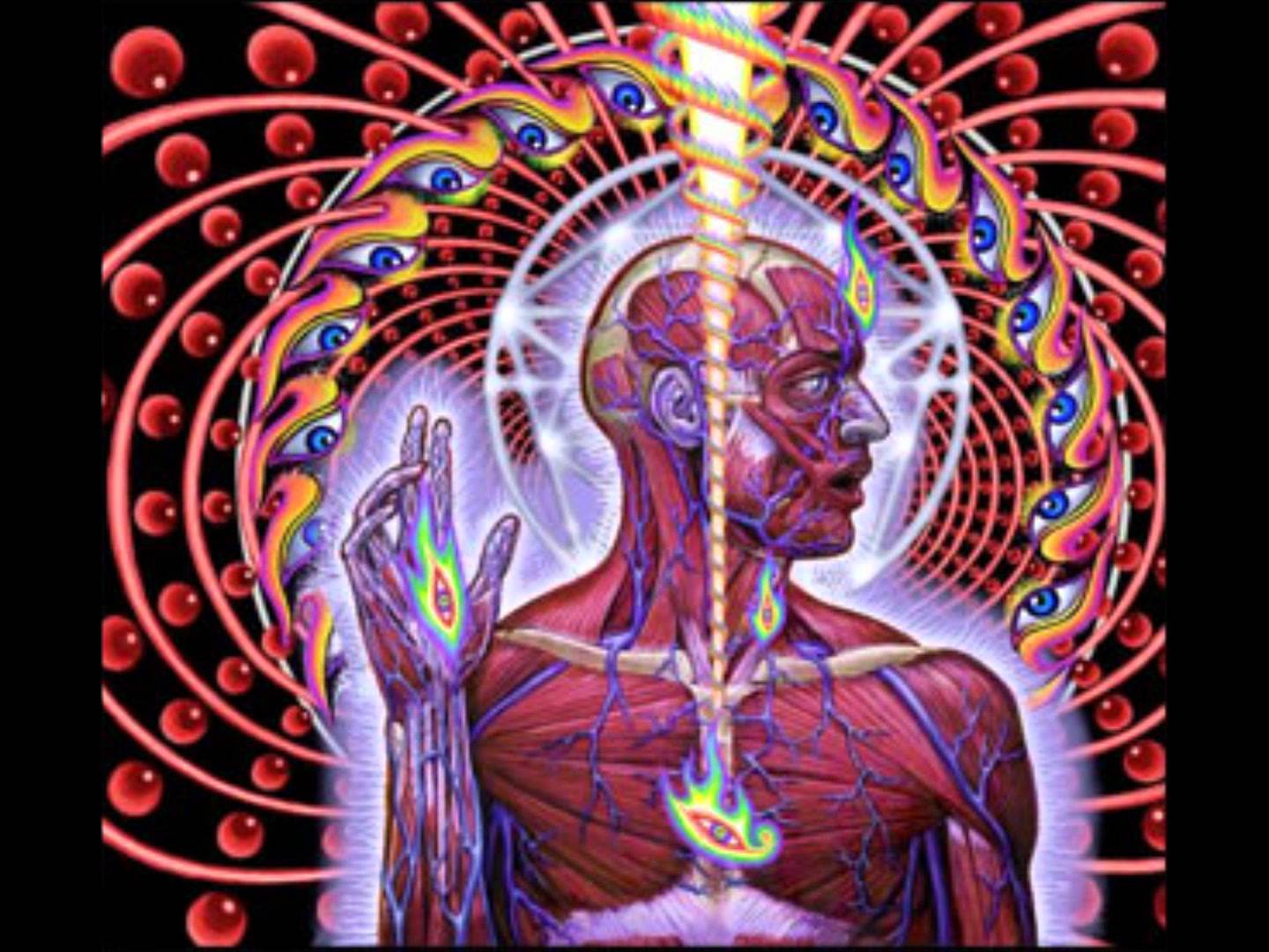 Tool Lateralus Wallpaper Posted By Samantha