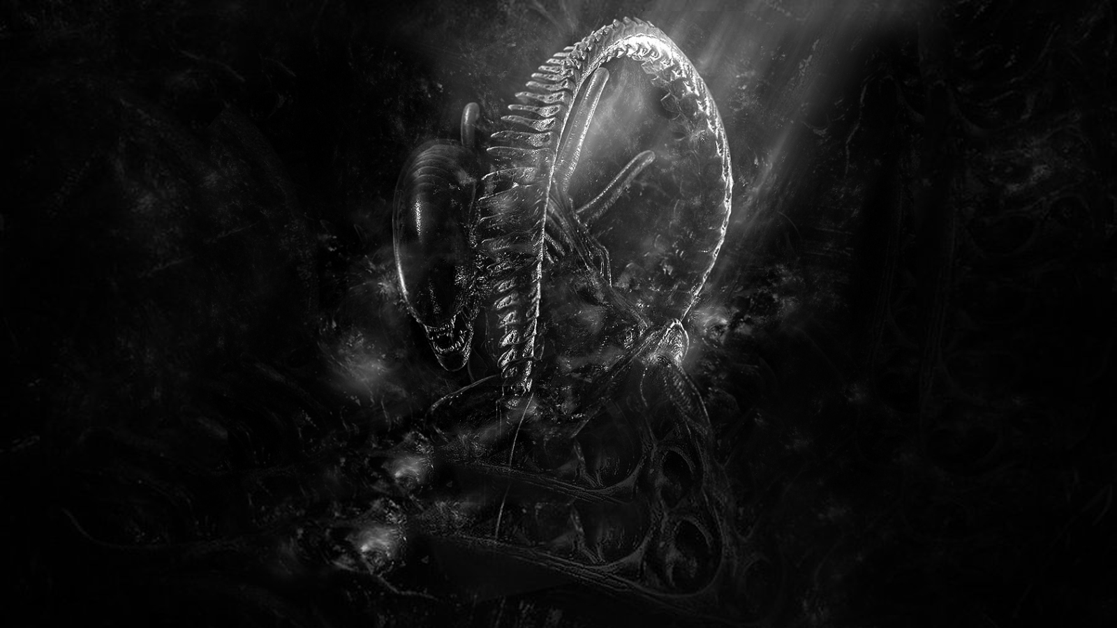 Alien Aliens Image Xenomorph Wallpaper HD