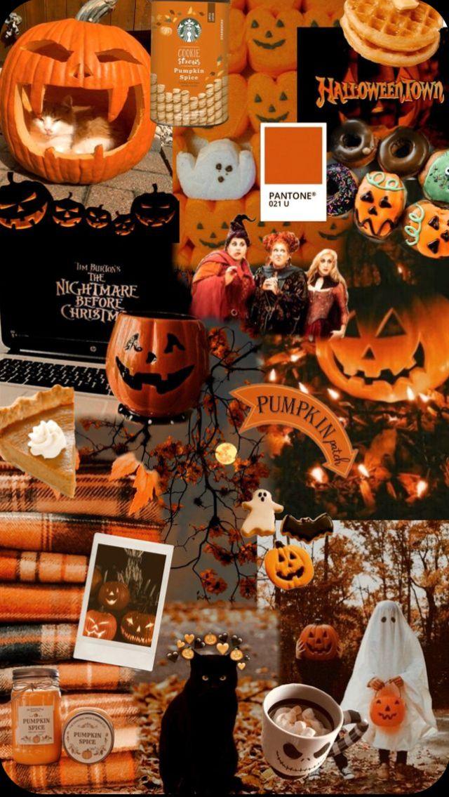 Jennifer Koch On Halloween iPhone Wallpaper In