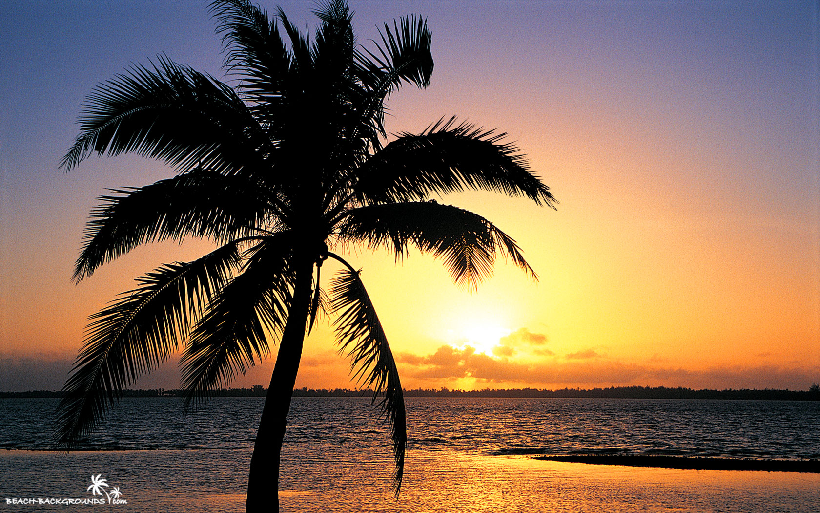 orange sunset on the tropic beach background 16802151050