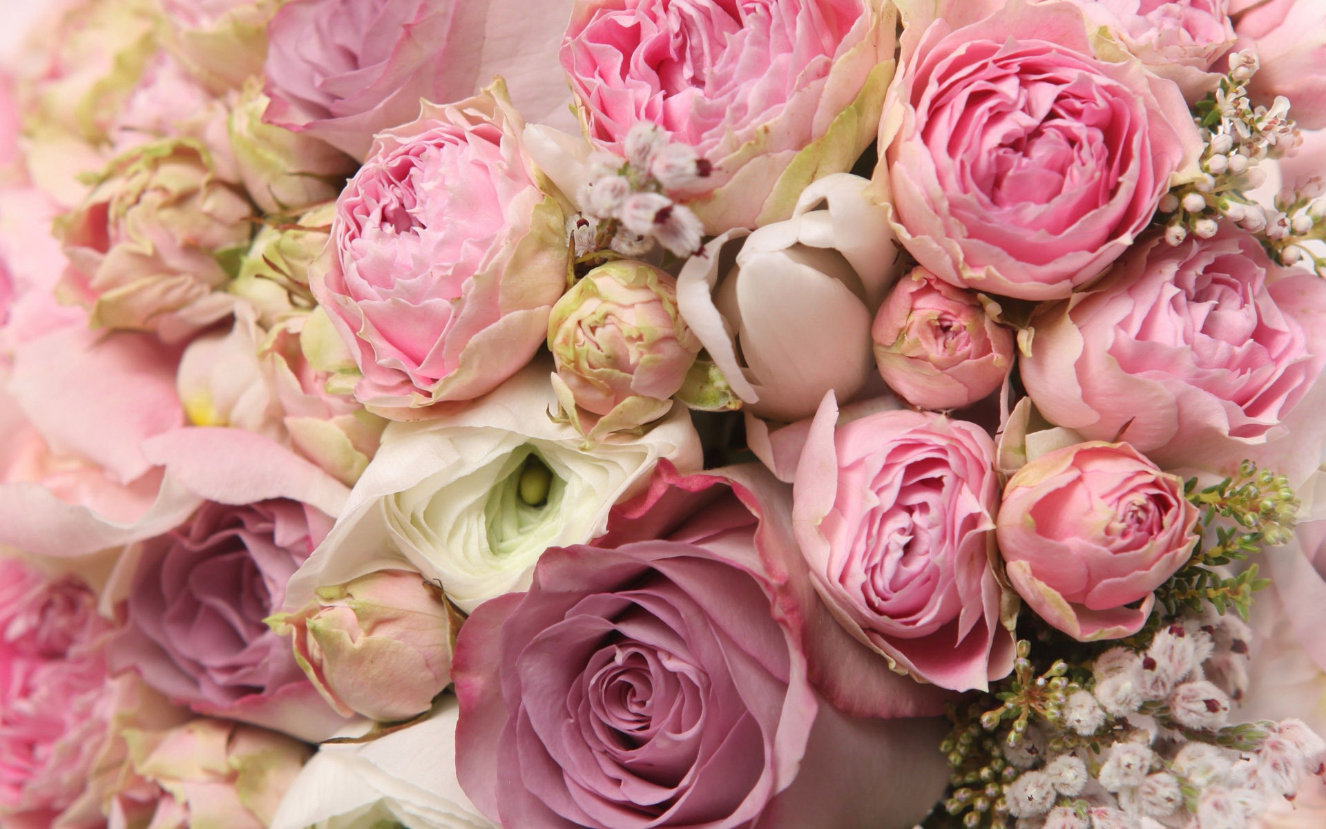 Roses and peonies bouquet wallpaper 18426 1920x1200