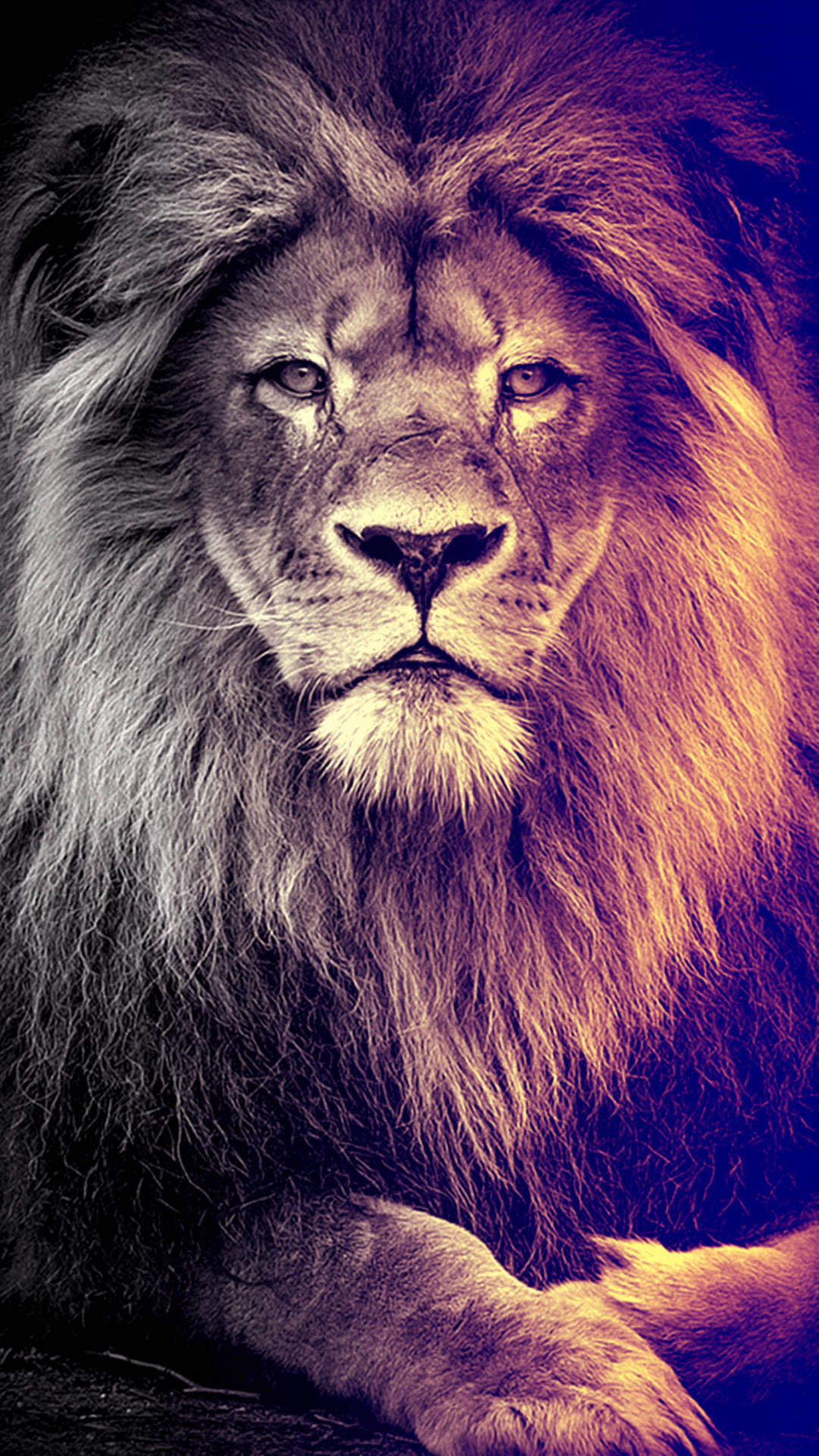 Art iPhone Wallpaper