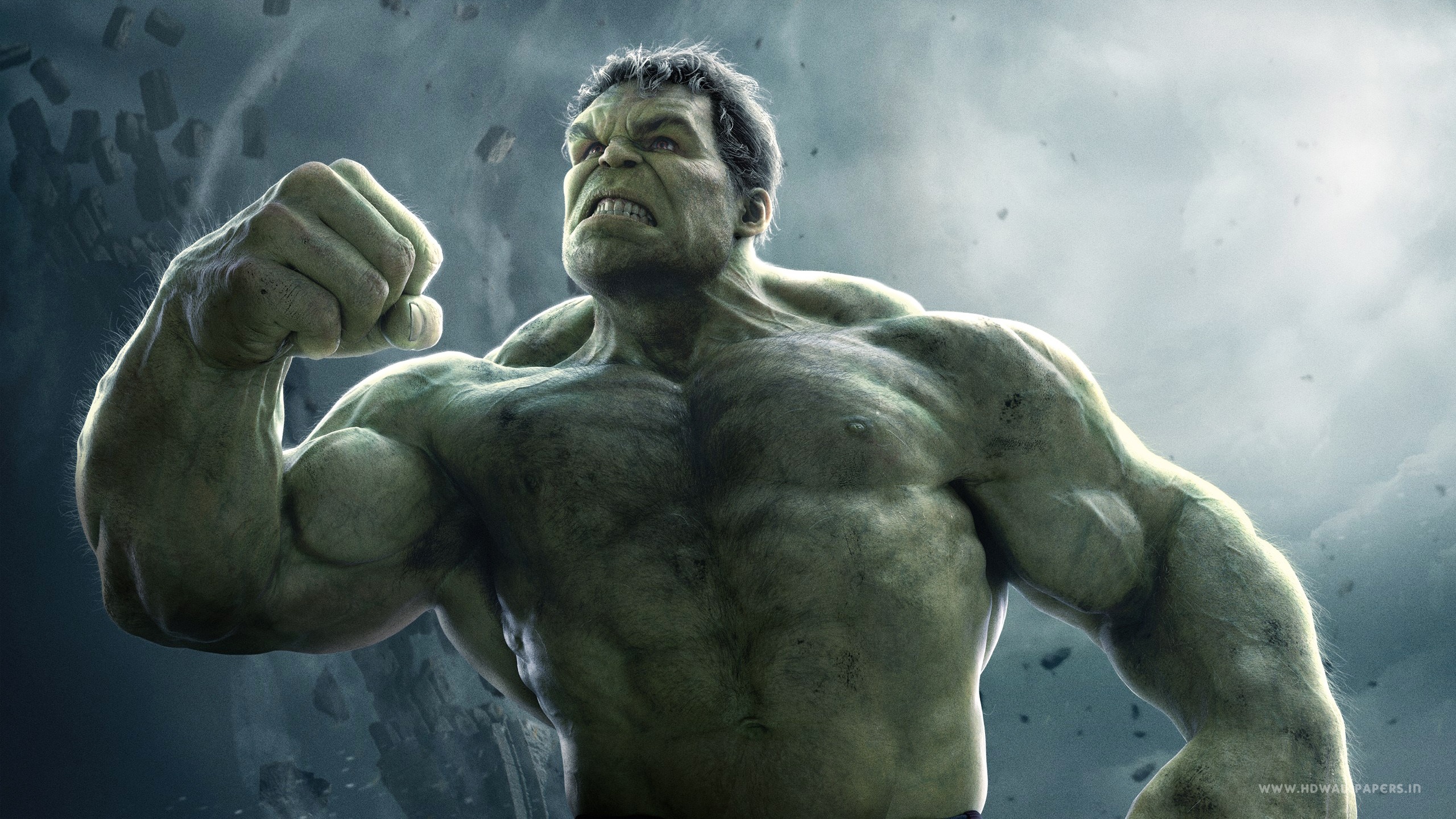 Avengers Age of Ultron Hulk Wallpapers HD Wallpapers