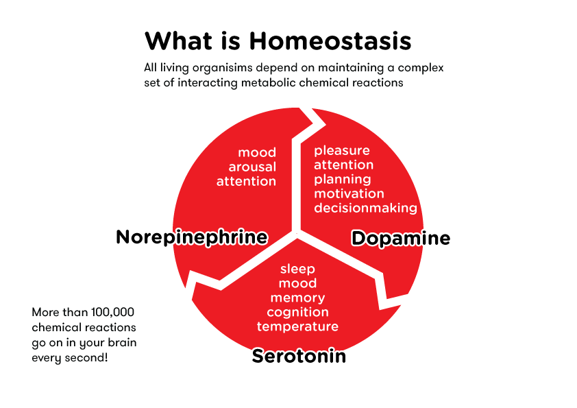 Homeostasis Image In Collection