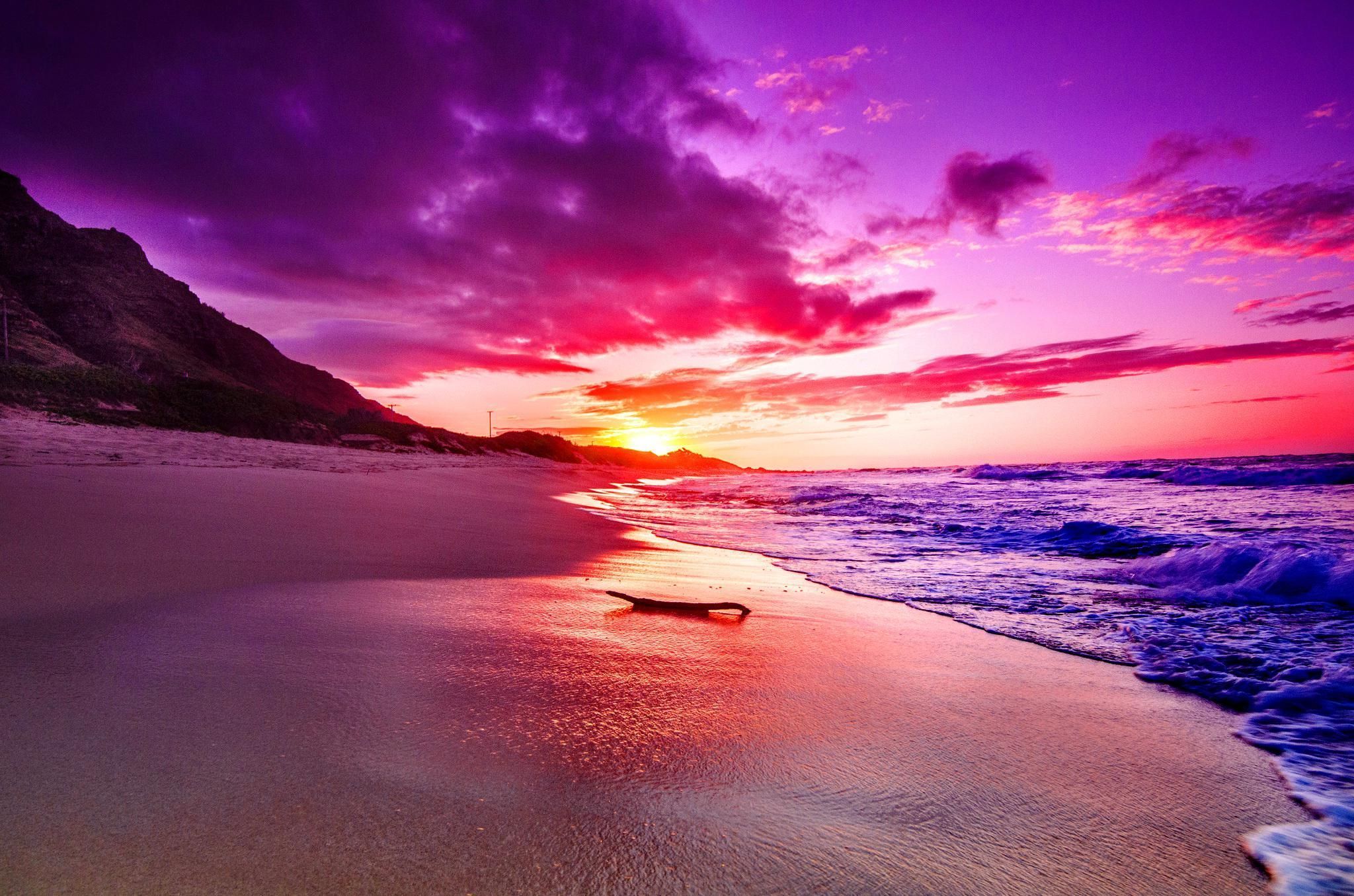 Pink Beach Sunset Wallpaper