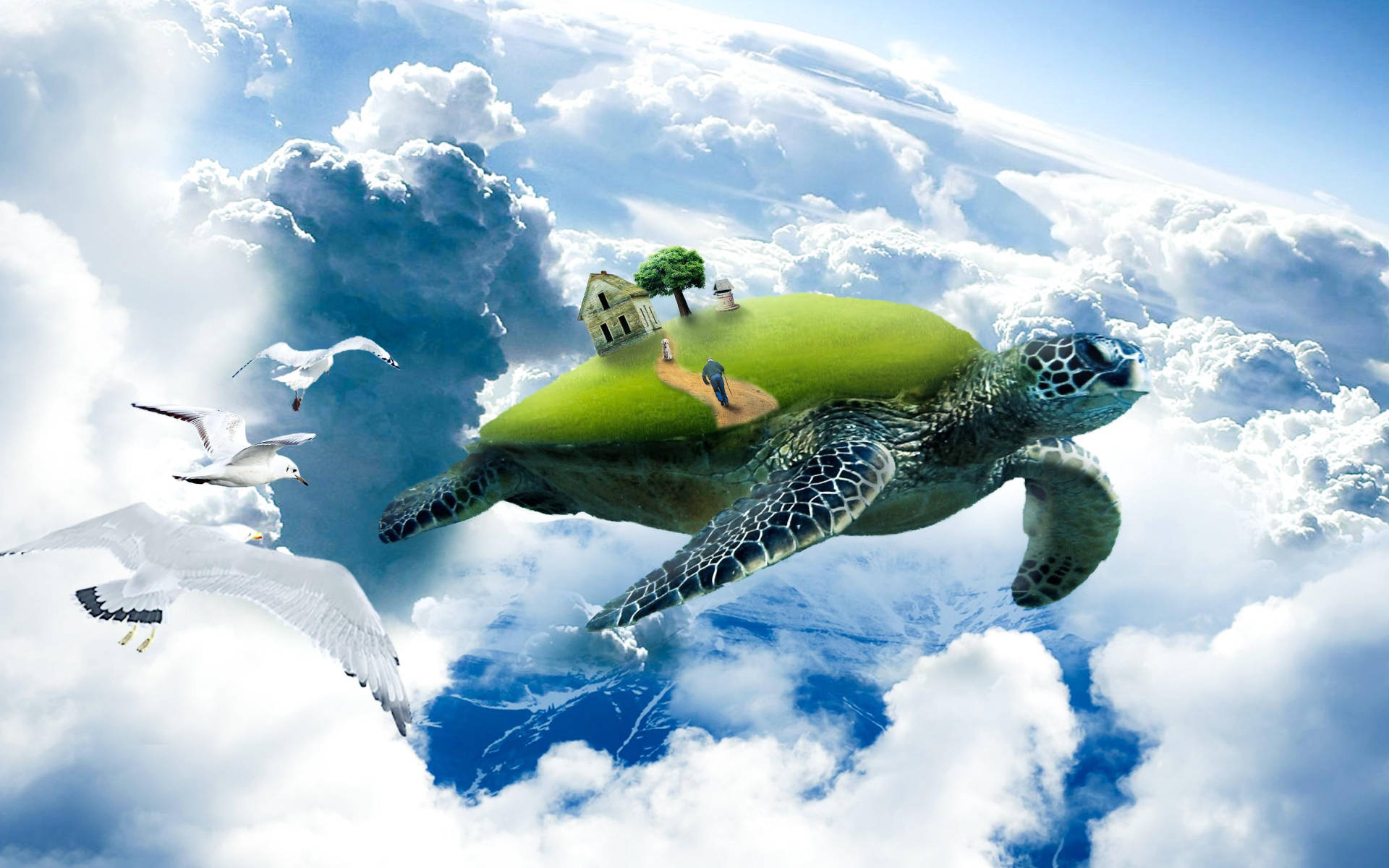 Cute Turtle Wallpaper