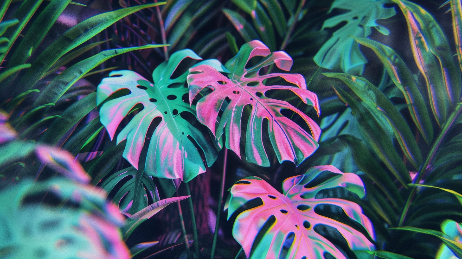 Tropical Leaves Wallpaper