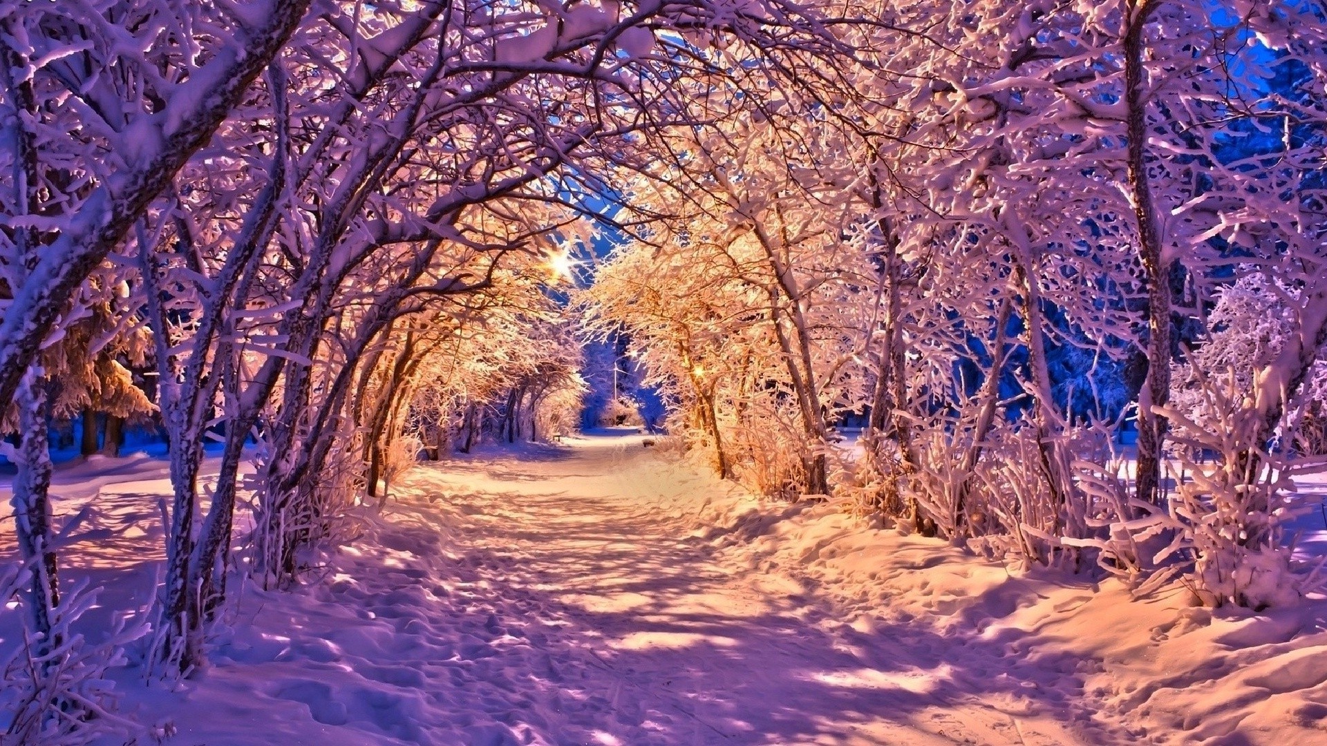 Nature Winter Landscape Wallpaper HD Desktop And