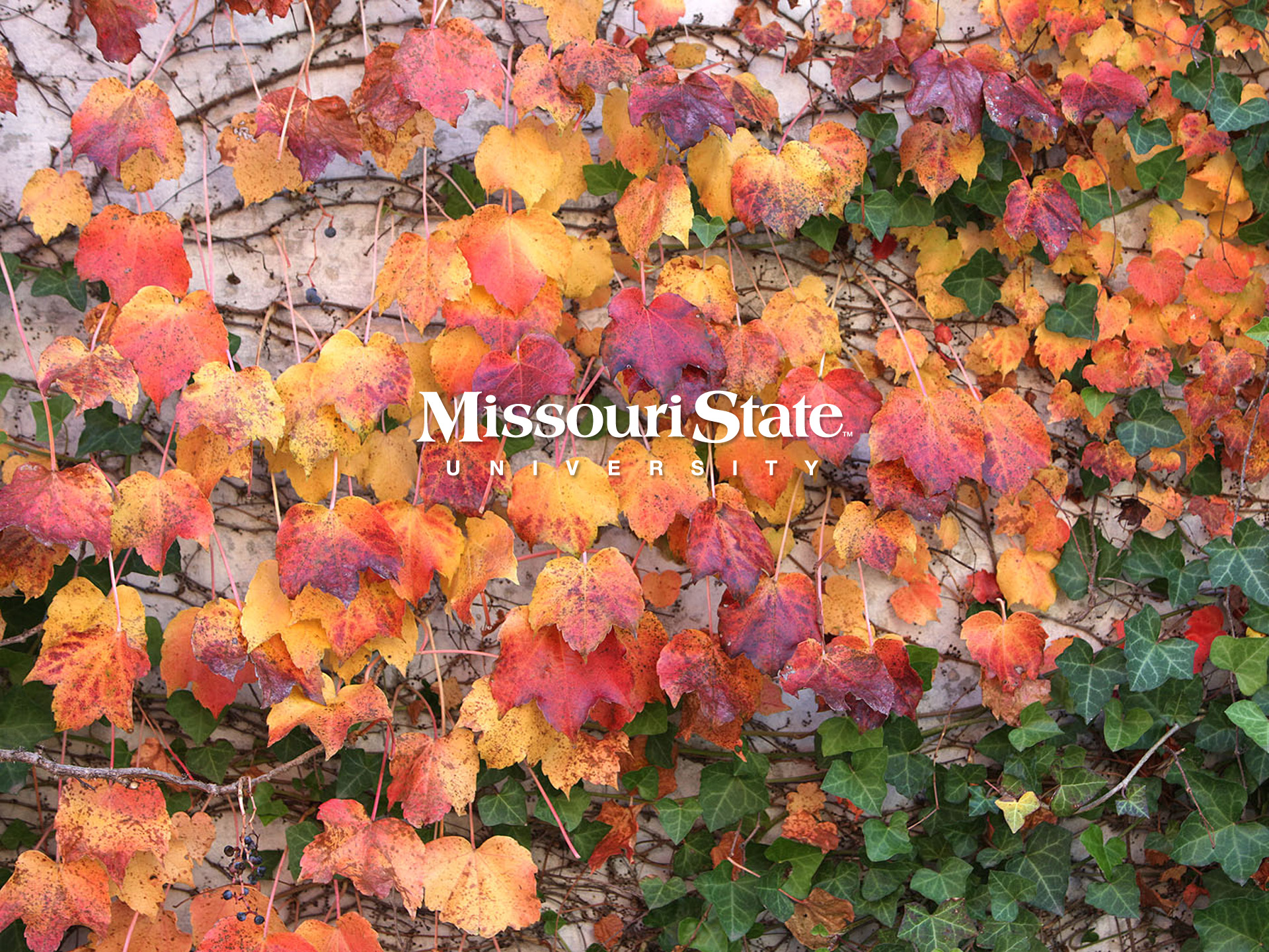 Go Maroon Missouri State University