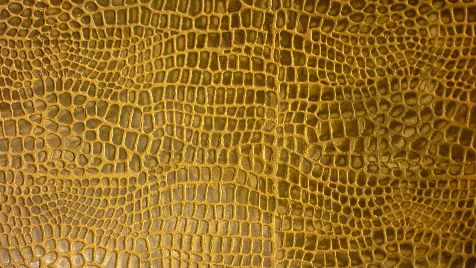 Crocodile Skin 18109 Good Wallpaperscom 1600x900