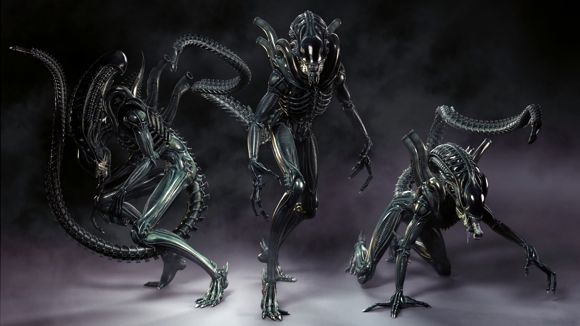 Xenomorph Alien Wallpaper Aliens